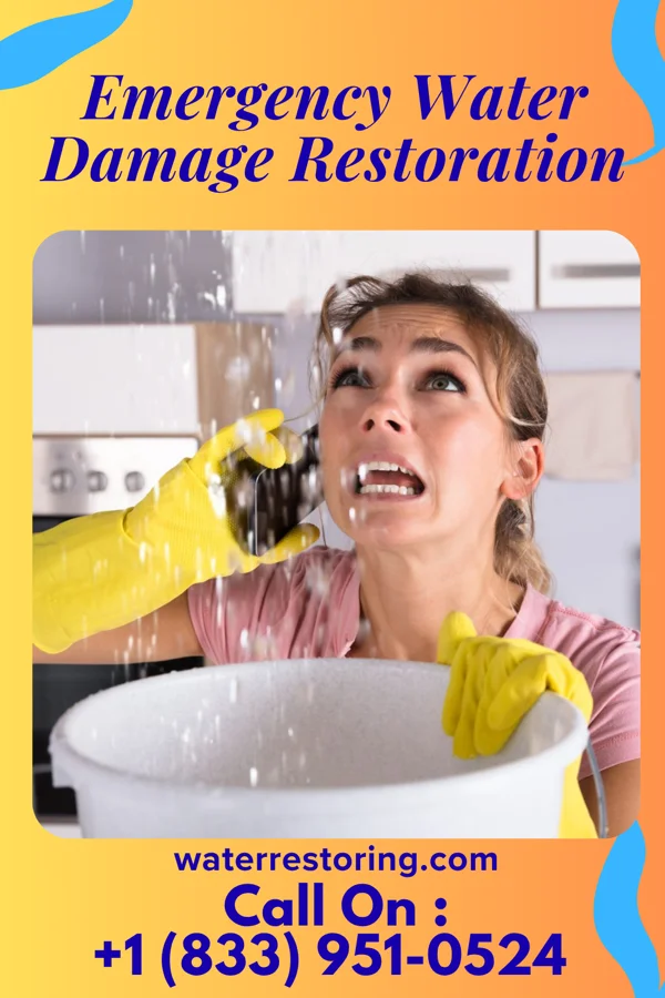Emergency Water Damage Restoration in Pinconning, MI