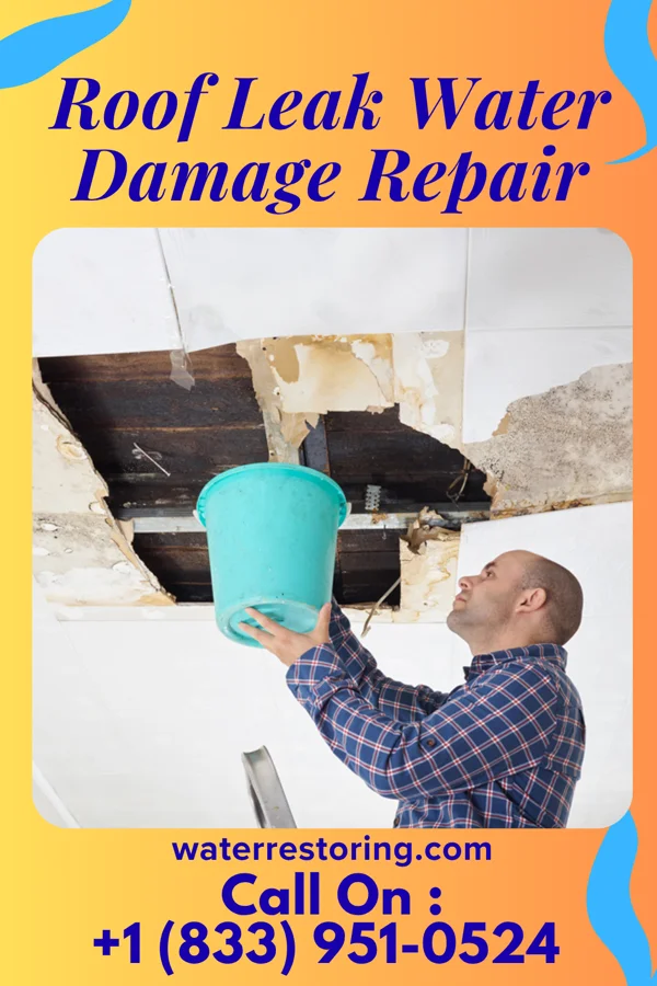 Roof Leak Water Damage Repair in Pinconning, MI