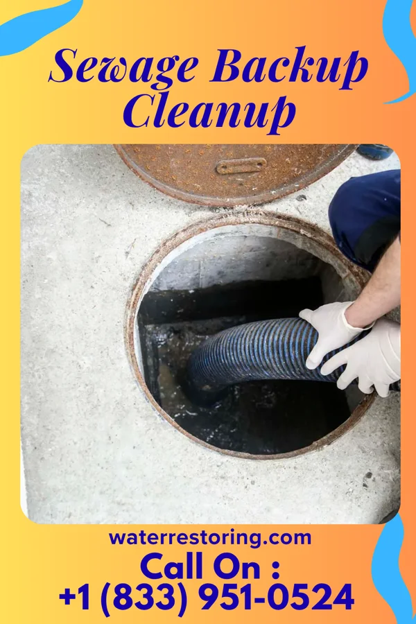 Sewage Backup Cleanup in Pinconning, MI