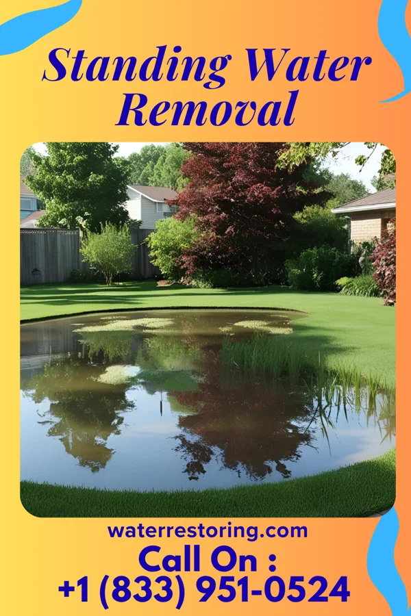 Standing Water Removal in Pinconning, MI